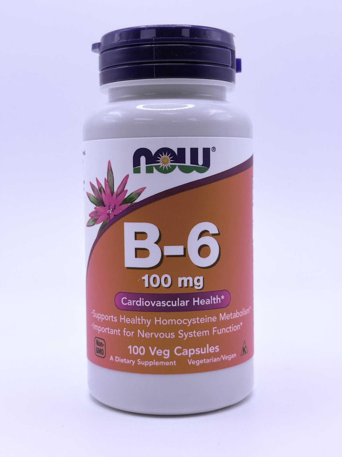 B-6 100 Veg Capsules