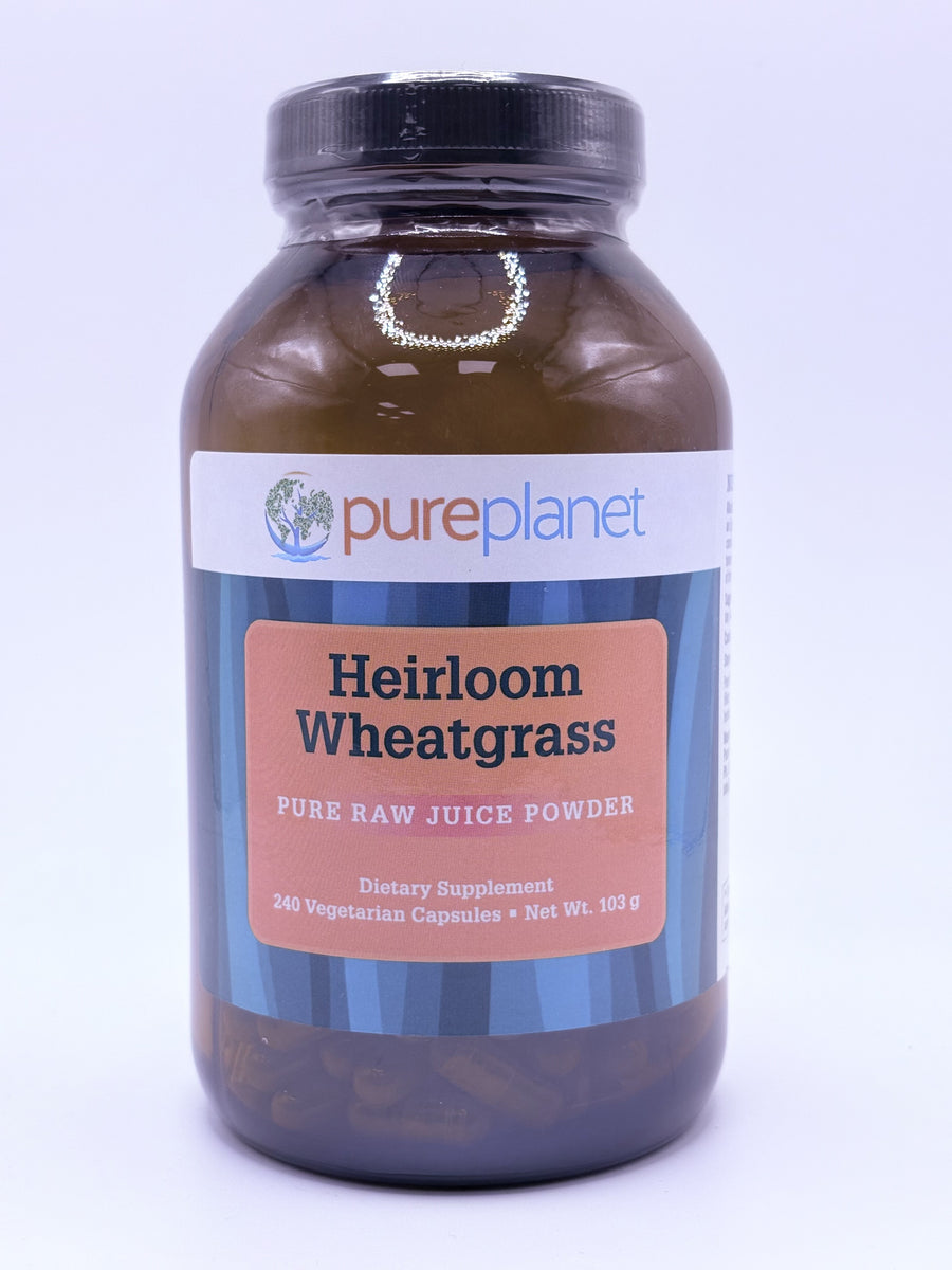 Pureplanet Heirloom Wheatgrass 103g