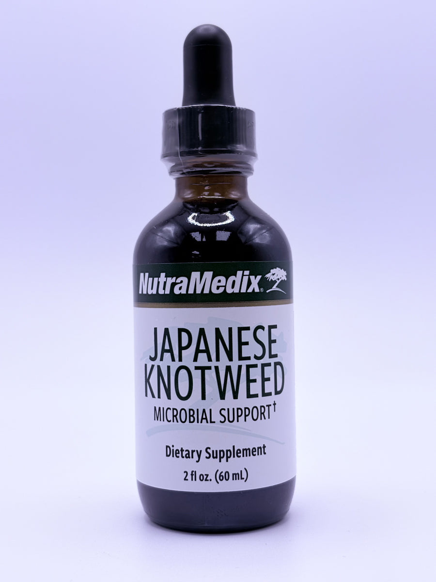 Japanese Knot Weed 2 oz