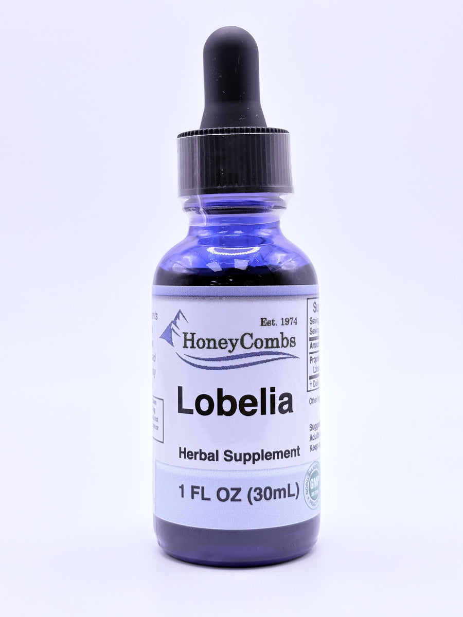 Lobelia